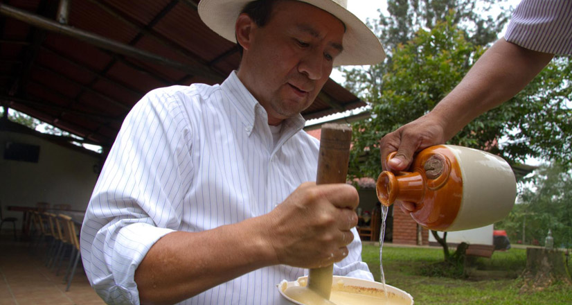 Algarrobina comes from the extract of the seeds of the carob tree